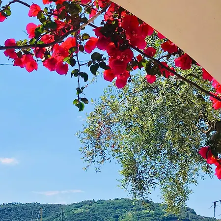 Villa Claudia Porto Venere